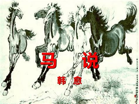 【百科】古代汉语里关于马的分类