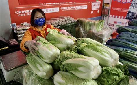 冬储大白菜，北京人的冬季“独家”记忆-新闻频道-和讯网