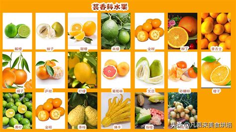 50种水果,世界的水果有多少种类 - 逸生活