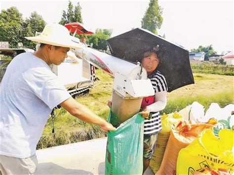 德州节粮减损经验做法获国家粮食和物资储备局专题推广 | 全链条发力 打造全国节粮减损示范区_德州24小时