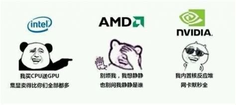 传Intel与AMD洽谈GPU授权 | 微型计算机官方网站 MCPlive.cn
