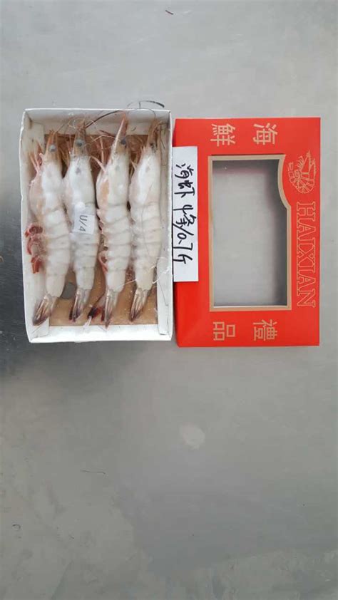 冷冻东方虾批发|唐山曹妃甸区鹏盛水产品有限公司