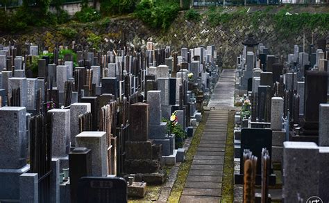 在寸土寸金的东京人们竟把墓地建在市中心|日本东京|墓地|坟墓_新浪网