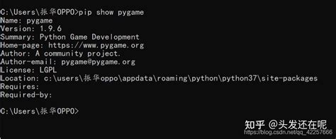 10分钟学会python写游戏脚本！Python其实很简单 | AI技术聚合