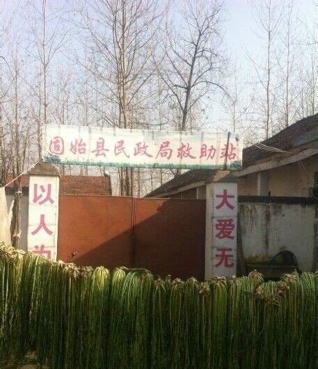 这个一般人看不懂吧——找死的兔子图片