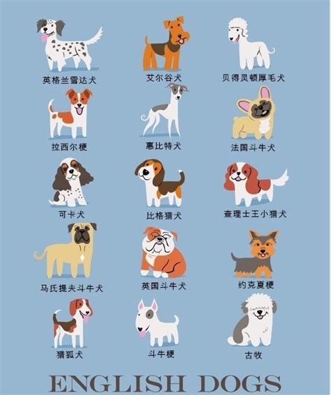 名犬图鉴：331种世界名犬驯养与鉴赏图典 (豆瓣)