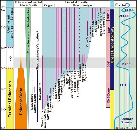 寒武纪生命大爆发原因何在？5.4亿年前的事件，真能推翻进化论？