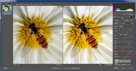 photoshop6怎么锐化，如何用PS调整锐度与清晰度 - 百发生活