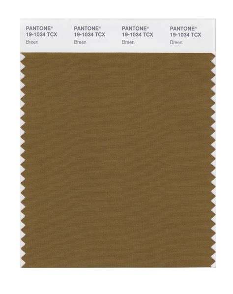 Pantone 19-1034 TCX Swatch Card Breen – Design Info
