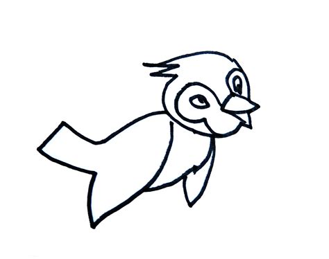 中型鸟类简笔画(各种鸟类的简笔画) - 抖兔教育