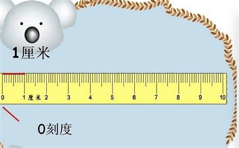 1米等于多少分米 米和分米怎么换算_合抱木装修网