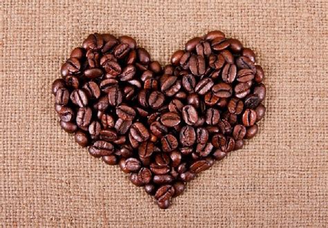 龙岩咖啡原料价格，信誉好的咖啡原料供应商_福州豆丁咖啡_咖啡原料_福州市台江区豆丁餐饮管理有限公司