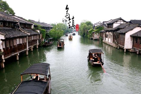 2021上海滨海森林公园-旅游攻略-门票-地址-问答-游记点评，上海旅游旅游景点推荐-去哪儿攻略