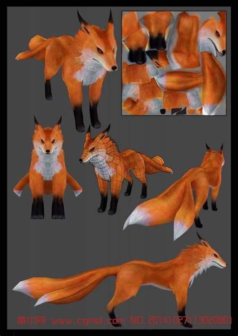 fox 三尾狐狸的模型_爬行动物模型下载-摩尔网CGMOL