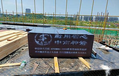 厂家销售可定尺加工建筑混凝土清水15mm双面覆模黑模板桥梁覆模板-阿里巴巴