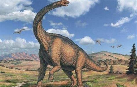 马门溪龙：地球上脖子最长的恐龙（长25米/1.45亿年前）_探秘志