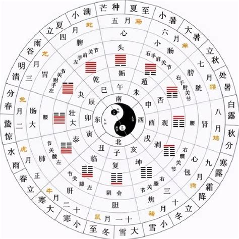 易经64卦图解图片