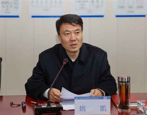 合肥市副市长姚凯，被查-新闻频道-和讯网
