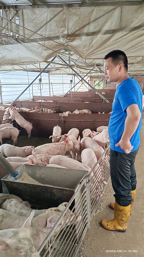 厉害了！全国最大的猪头加工生产线登陆泰兴_荔枝网新闻