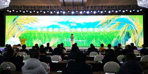 青海青稞区域公用品牌启动仪式在西宁举行_县域经济网