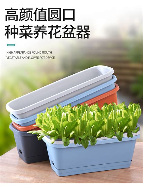 阳台种菜盆屋顶种花蔬菜种植箱长方形大花盆树脂塑料特大菜盆