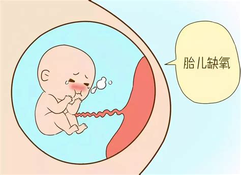 孕妇都需要做的“胎心监护图”是啥？你会看那张图吗？其实很简单|胎心|监护|缺氧_新浪新闻
