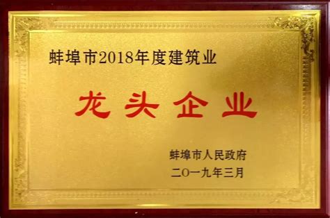 安徽水利荣获“蚌埠市建筑业龙头企业”称号-筑讯网
