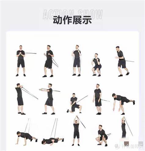 弹力绳健身详细教程