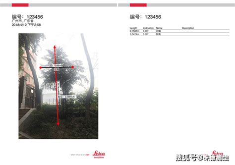 一九五六年十二月 的图像结果
