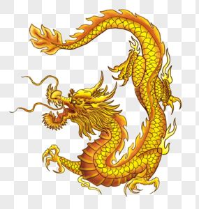 中国龙的眼睛图片