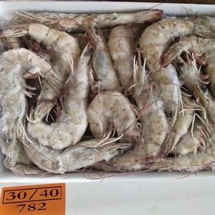万景北海鲜冻白虾国产白虾 净重4斤 100-120只 大虾对虾 海鲜生鲜烧烤-商品详情-光明菜管家