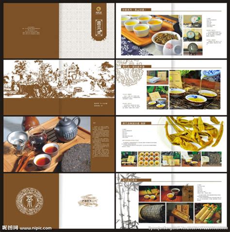 普洱茶文化折页设计模板图片下载_红动中国