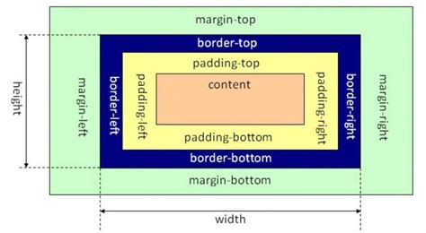 理解CSS盒子模型：构建网页布局的基石 | w3cschool笔记