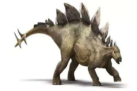 背上有刺的恐龙是什么恐龙？