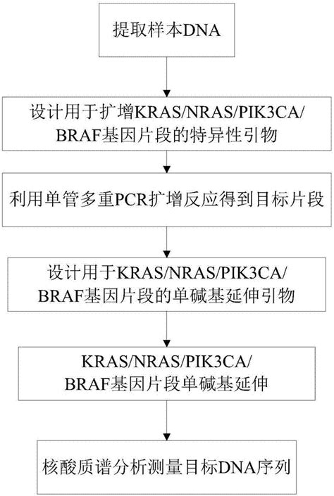 结直肠癌KRAS基因突变检测方法的应用和评价_全球肿瘤医生网