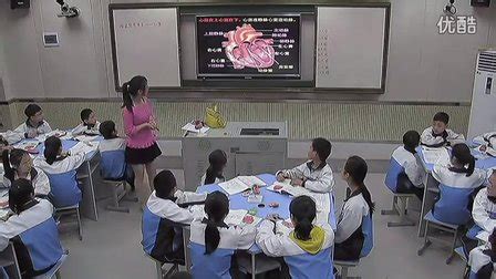 《血液循环途径》微课_2014青岛微课会 - 七年级生物教学视频 ...