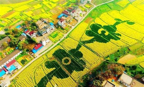 4月份农业农村经济发展质量效益稳定提升 - 三农资讯 - 新湖南