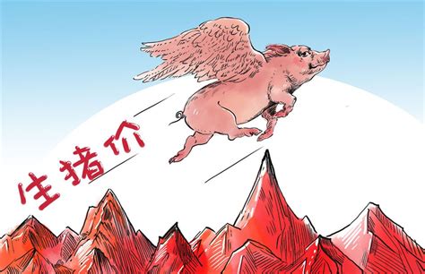 2013生猪行情预测+“猪周期”点评_分析预测_中国保健养猪网