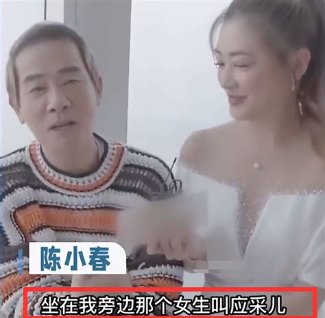 陈小春熊黛林图片