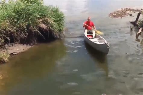 男子在河中划船游玩，没想到世上还有这样的好事发生！|好事|鱼群|河中_新浪新闻