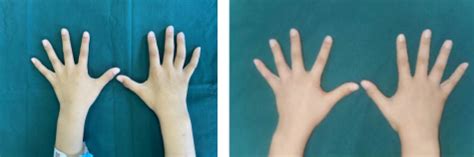 爪子状手势素材图片免费下载-千库网