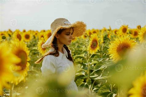 beautiful sweet girl walks through a field of sunflowers landscape ...