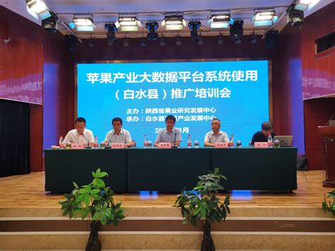 苹果产业大数据平台系统使用推广培训会在渭南市白水县召开 - 西部网（陕西新闻网）