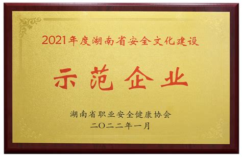 2019～2020年湖南省优秀企业家名单揭晓 - 湖南省企业和工业经济联合会