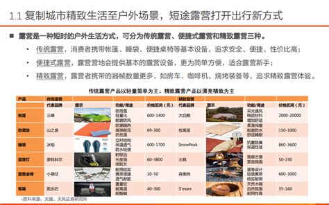 Azoya Consulting ：2022年中国精致露营市场分析报告.pdf(附下载)-三个皮匠报告