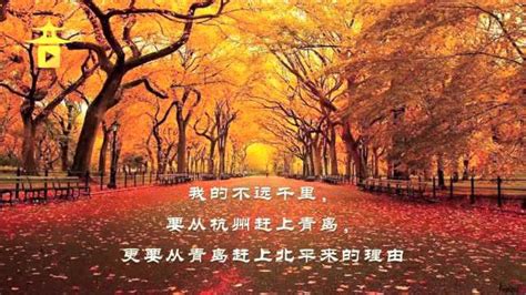 郁达夫《故都的秋》写尽北方秋天的美，英译版也让人着迷 - 知乎