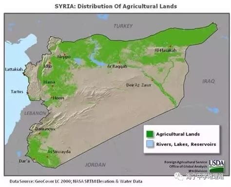 叙利亚遭空袭后现场图曝光|叙利亚|大马士革|现场图_新浪新闻