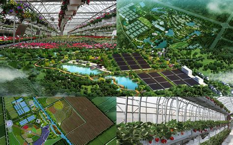 现代农业示范区的五大特征分析_现代农业产业规划 - 前瞻产业研究院