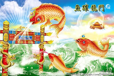 鲤鱼跳龙门图片