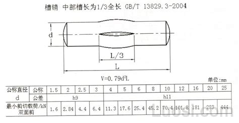 GB /T 13829.3-2004 槽销 中部槽长为1/3全长-标准查询-华人螺丝网